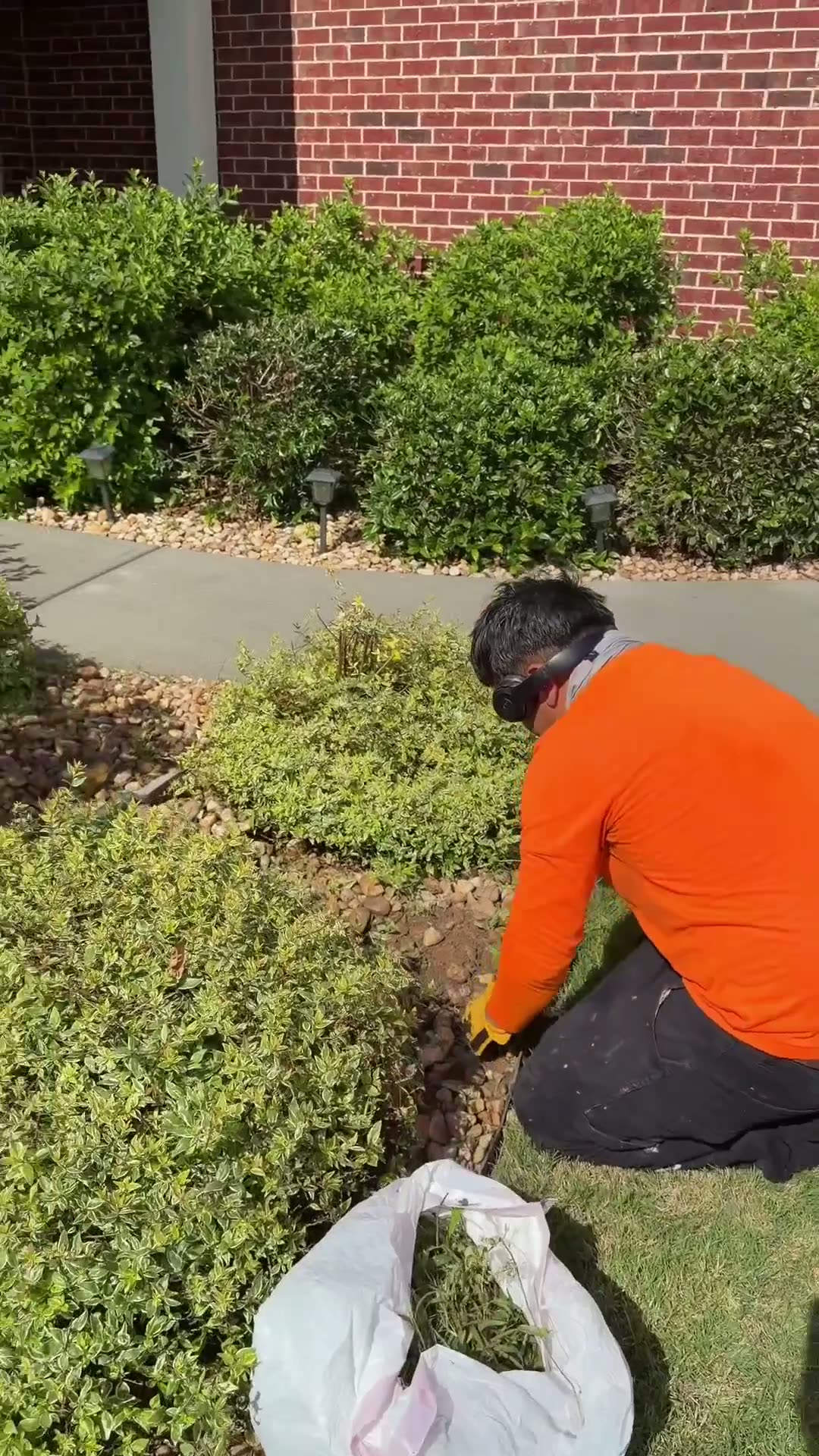 Freshly cut metro Atlanta lawn by Lawn To The Max